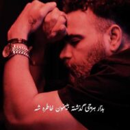 دانلود آهنگ جدید معین زد به نام دیدی پاییزو